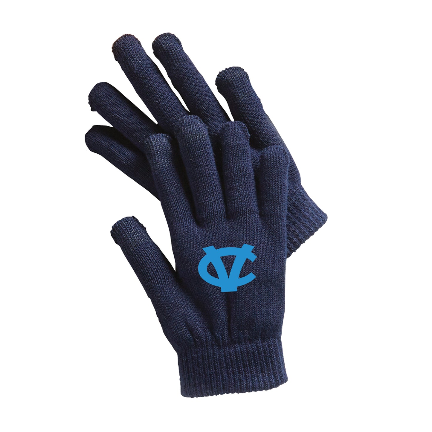 Evil Lizard Online: Central Valley Gloves