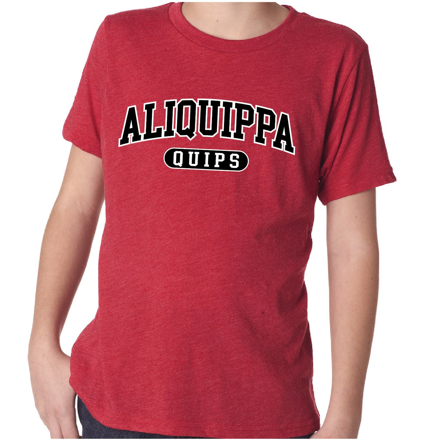 Evil Lizard Online: Aliquippa Youth Tee