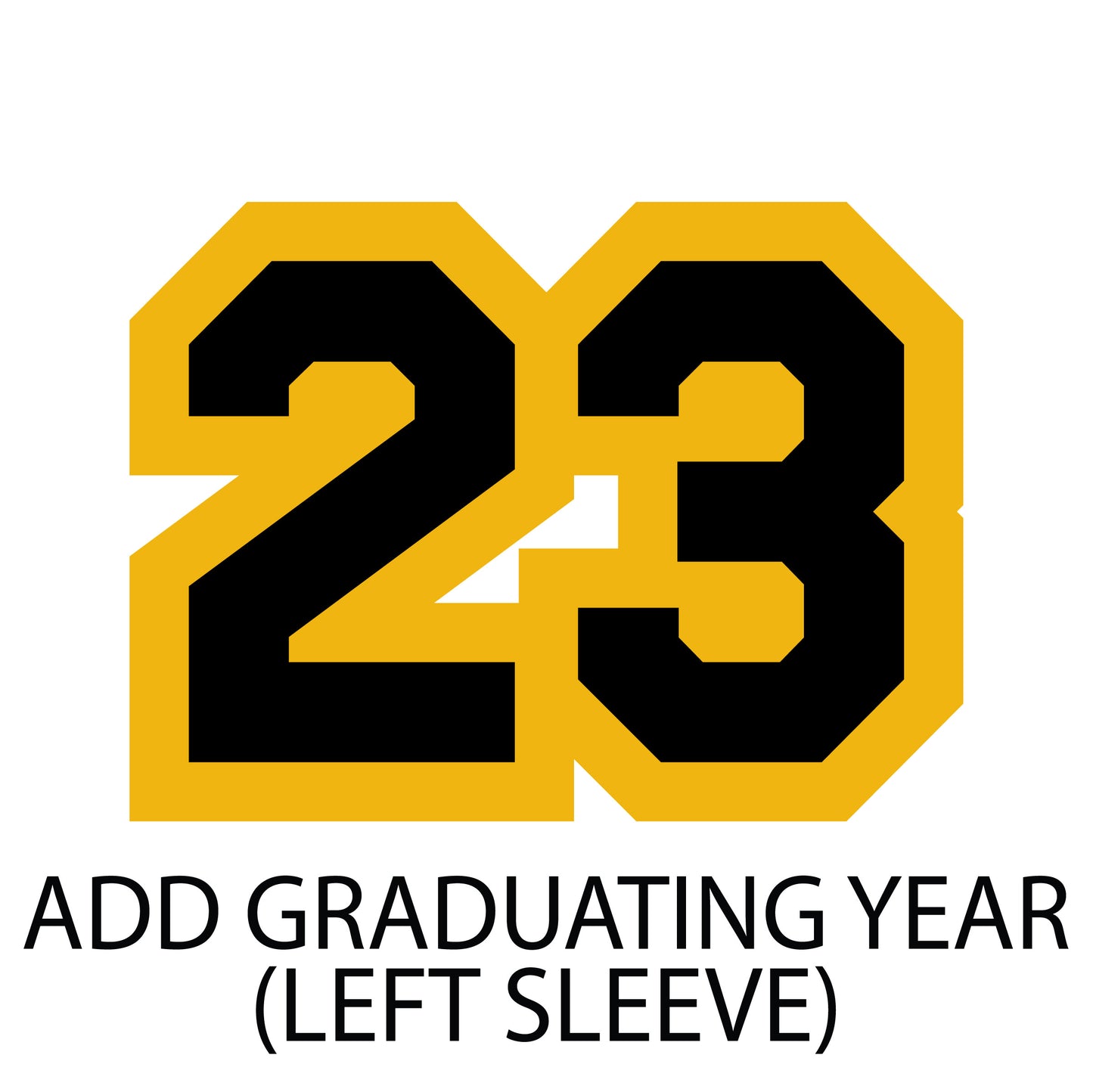 North Allegheny Varsity Hockey: LEFT Sleeve Player Graduation Year - Chenille Number